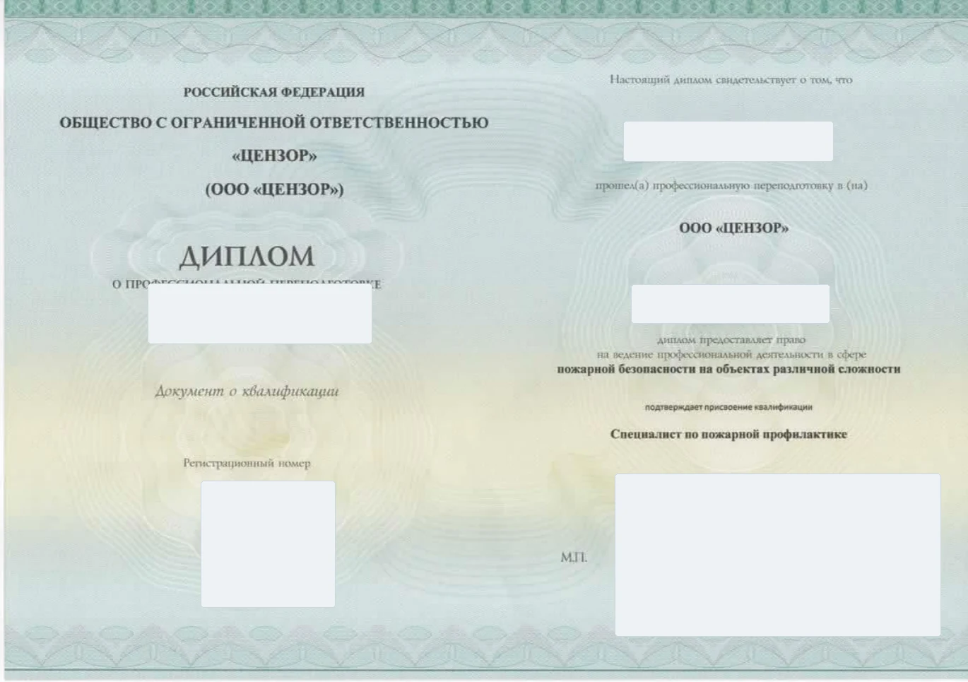 Обезличенный образец диплома о профессиональной переподготовке